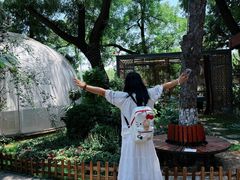 -莫多多餐厅
