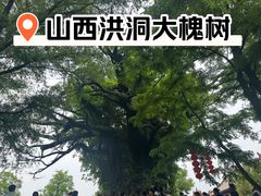-大槐树寻根祭祖园