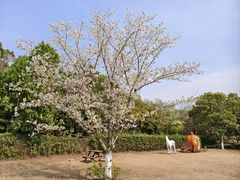 -白马涧龙池景区