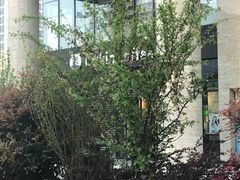 门面-瑞幸咖啡(盛博广场店)