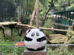 -红山森林动物园
