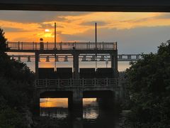 -宝安西湾红树林湿地公园