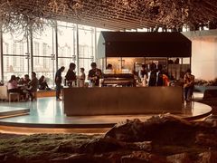 -Seesaw Coffee(朝阳大悦城店)