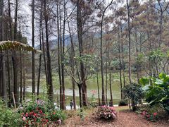 -深圳仙湖植物园