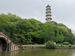 -江心屿景区