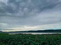 -沈阳森林动物园