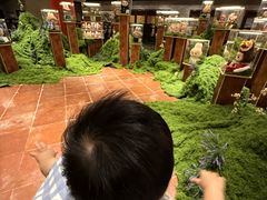 -龙悦湾酒家·八阵鱼生·渔人码头店