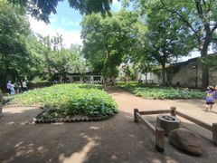 -绍兴鲁迅故里·沈园景区