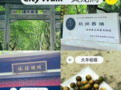 -杭州黄龙洞
