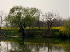 -梁鸿国家湿地公园