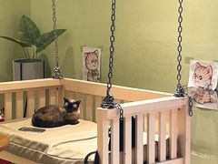 -藏猫猫咖啡主题馆(中央大道店)