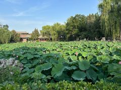 -莲池书院博物馆