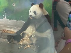 -无锡动物园·太湖欢乐园
