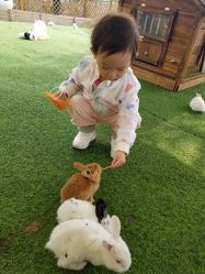 -萌宠亲子动物乐园(槐房万达店)