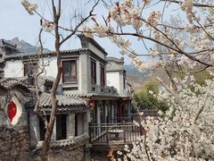 -老张烤羊(王哥庄店)