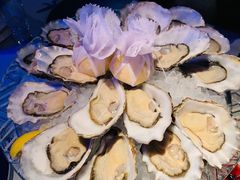 -香港喜来登酒店蚝酒吧