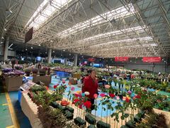 -昆明国际花卉拍卖交易中心