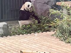-苏州太湖国家湿地公园