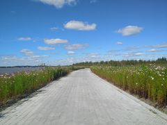 -呼兰河口湿地公园
