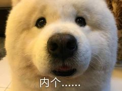 -蒋家桥饺面店(广陵路店)