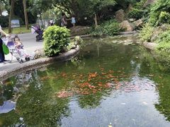 -晓港公园