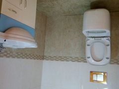 -金山农民画村-枫泾波兰倒置屋