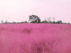 -汉长安城未央宫国家考古遗址公园