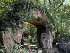 -海口火山口国家地质公园