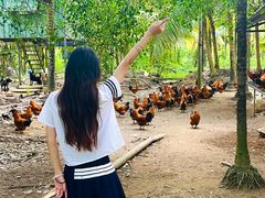 -兴隆槟榔园休闲农庄