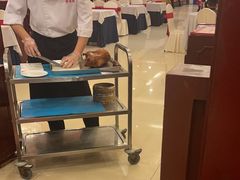 -全聚德(上海首店浦东店)