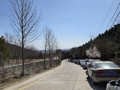-北京十三陵国家森林公园蟒山景区