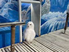 -成都浩海立方海洋公园