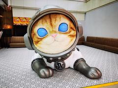 -友谊新天地广场(金街店)