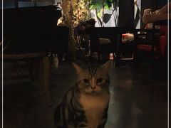 -咖法森林·咖啡  酒吧(天河店)