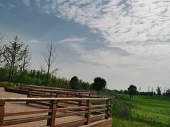 -汉长安城未央宫国家考古遗址公园