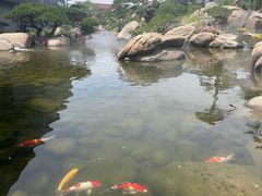 -罗红摄影艺术馆