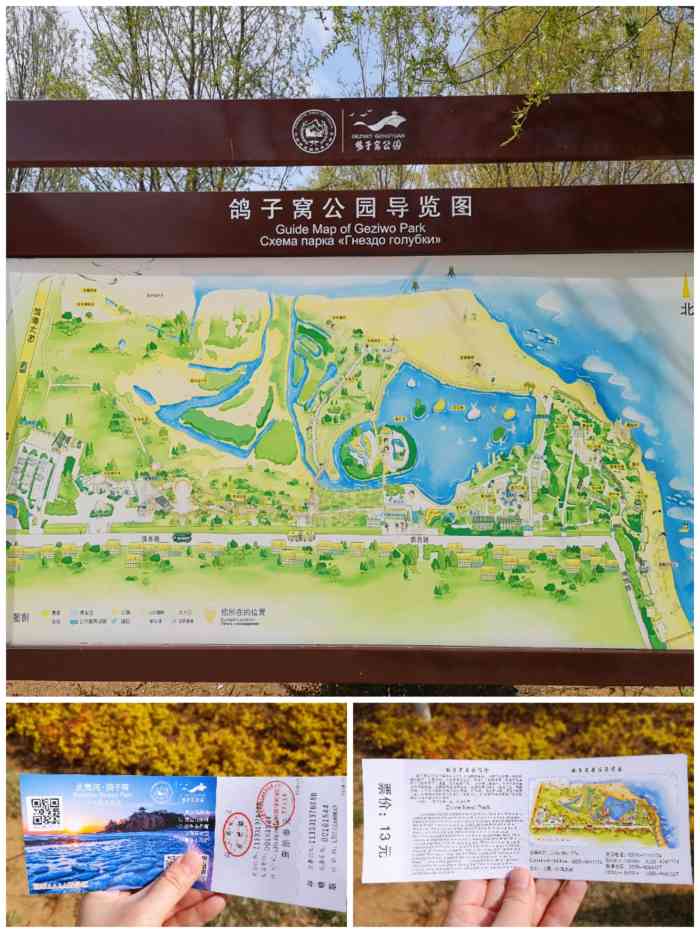 北戴河鸽子窝公园地图图片