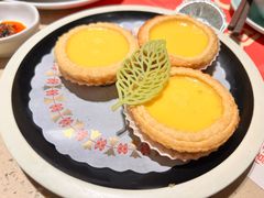 松化鸡蛋挞-点都德(珠江新城店)