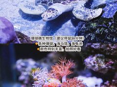 -南昌海洋公园