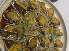 -海派美食·家宴海鲜青岛菜·石锅鲽鱼头(东方城店)