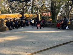 -普陀山风景名胜区-法雨禅寺