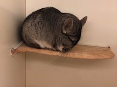 -龙猫仔乐园(惠福东路店)