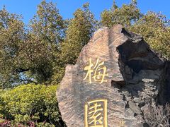 -无锡梅园公园