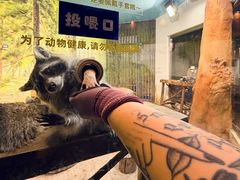 -大连圣亚海洋世界