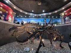 -国家自然博物馆