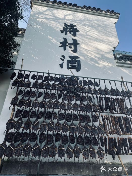 西溪国家湿地公园图片