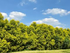 -白鹭湾湿地公园