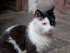 留荫庐-留荫庐旅馆