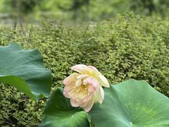 -金稼园·金平湖农家菜