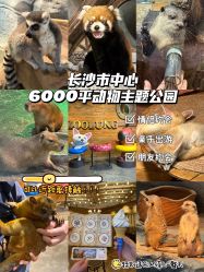 -Zoolung Zoolung动物主题公园(海信广场店)